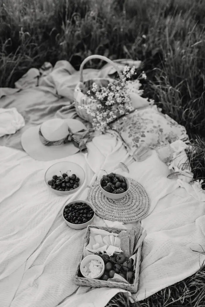 El picnic sobre el pasto